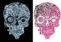 Scull with flower and ornamentation decoration vector illustrationset